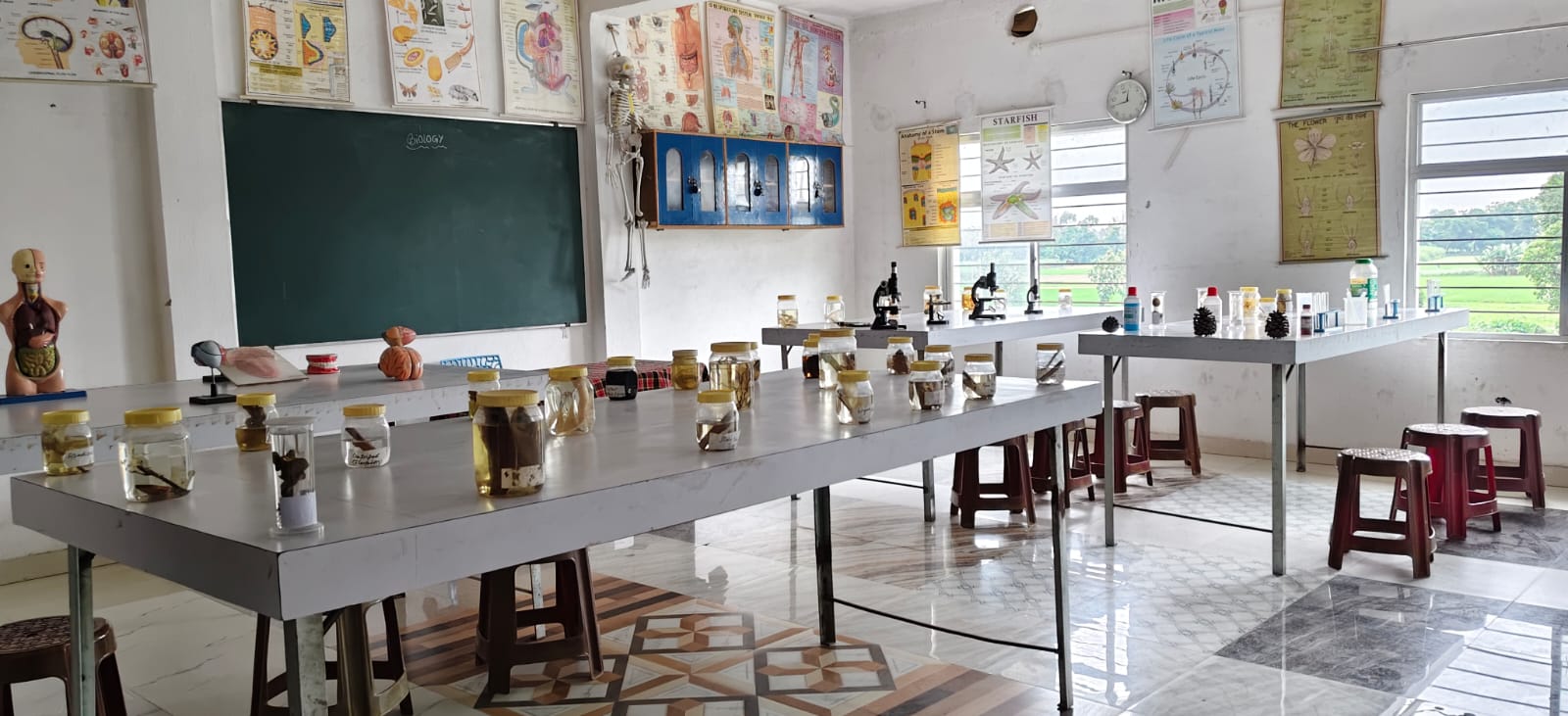 Science & Discovery Labs